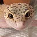 etctaro