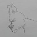StrayDog