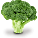 broccolibroccolibroccoli
