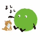 t_shi