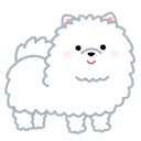 EvilPomeranian