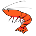 r-ebisawa