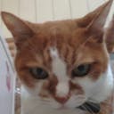 peterTaro