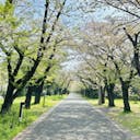 minami782