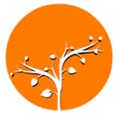 koki-shoji