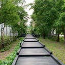 shin1-sato