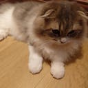 ko-sato-ko