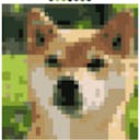 acannie