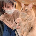 reika_engineer