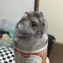hokuto_ibe